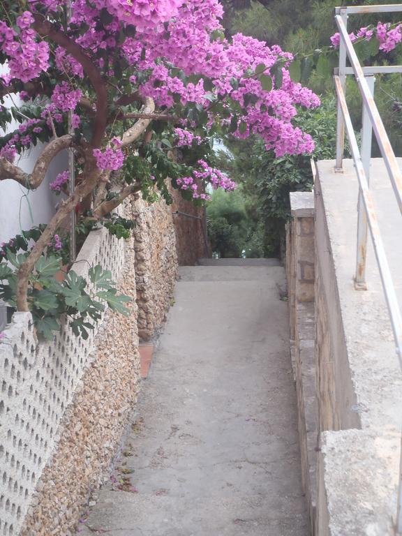 Apartments Villa Stari Koko Omiš Exteriör bild